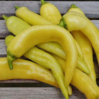 Freshly harvested süße banana peppers aus garten