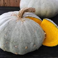 Süße flesh winter squash pflanzen in garten