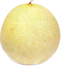 Süße lada melon wachsend in summer garten