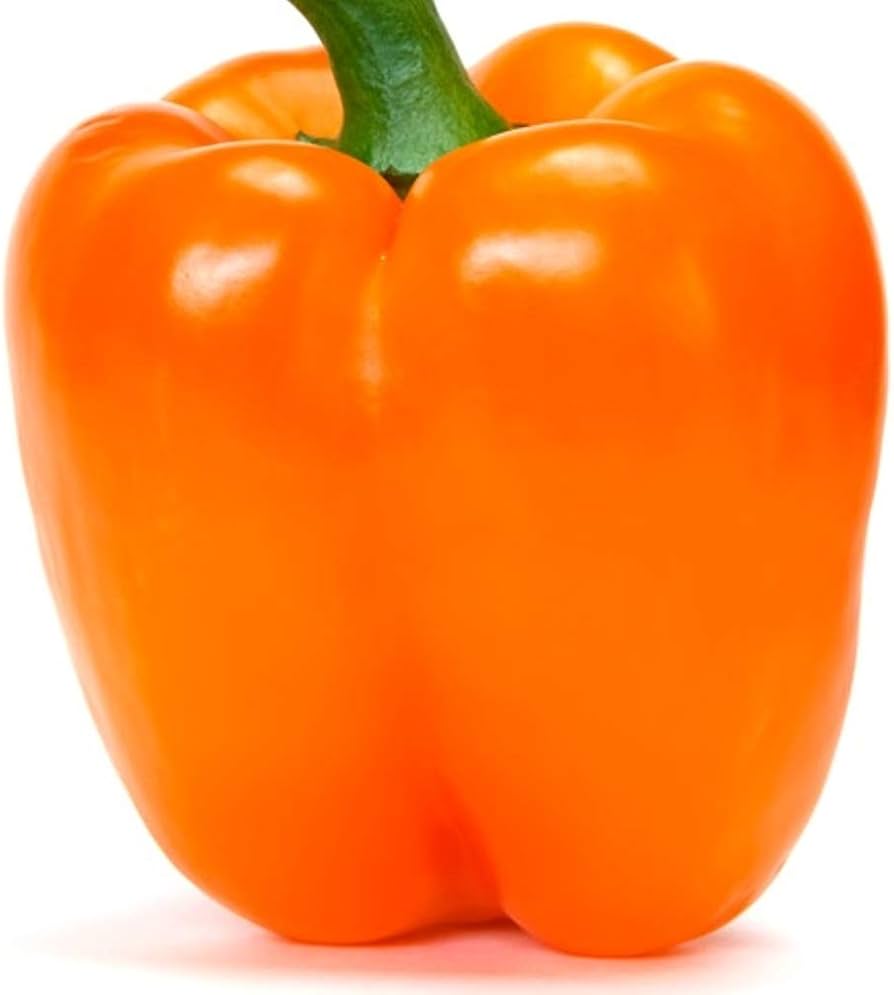 Süße orange pepper samen für raised bed gardens