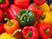 Premium Paprika Samen zum Pflanzen - Fresh Gemüse Gardening
