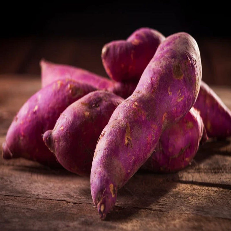 Lila Batatas Potato Samen zum Pflanzen  Premium Gemüsesamen