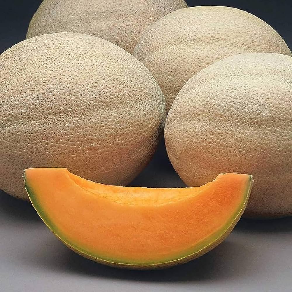 Süße rannya melon garten samen für aussaat