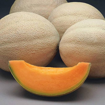 Süße rannya melon garten samen für aussaat
