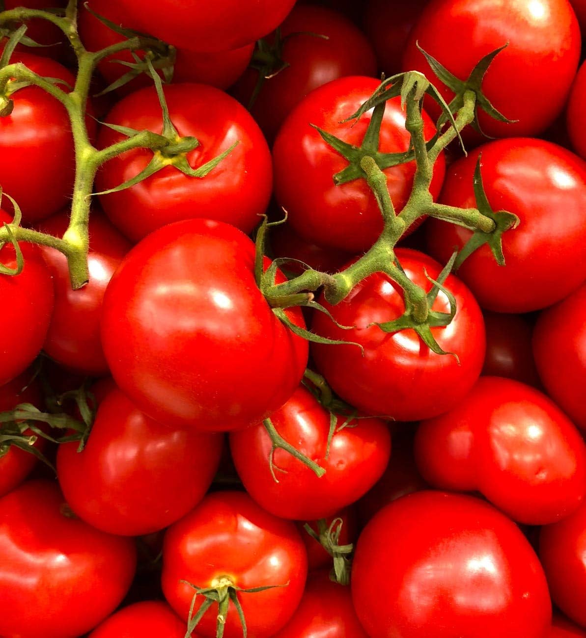 Süße heidi tomatoes ripening on vine