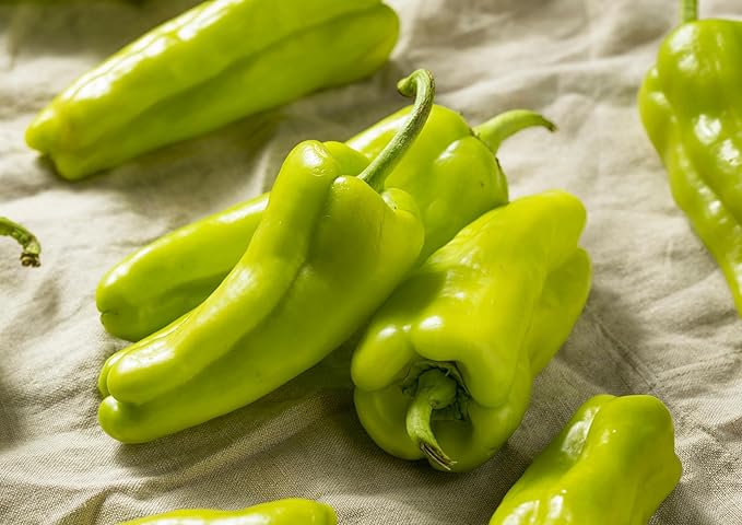 Süße romano capsicum samen ideal für backyard gardens