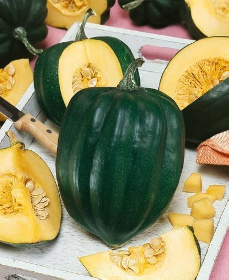 Table king acorn squash samen für aussaat