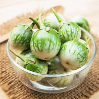 Thai eggplant petch siam samen (solanum melongena) für home gemüse garten aussaat