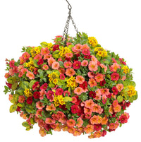 Sunrise Cascading Petunie Samen Blumensamen zur Aussaat ideal Rabatten Traditionssorte & ohne Gentechnik Samen Hausgarten