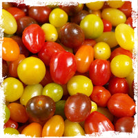 Mix Tomate Gemüse zum Pflanzen Samen