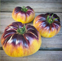 Tomato pflanzen producing gelbe and schwarze fruits