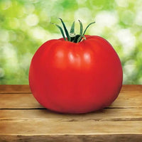 Tomatoes wachsend on vine in garten