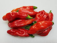Trinidad pimento pepper samen für aussaat