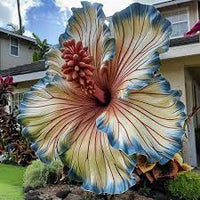 Tropical hibiscus rainbow blumen in garten