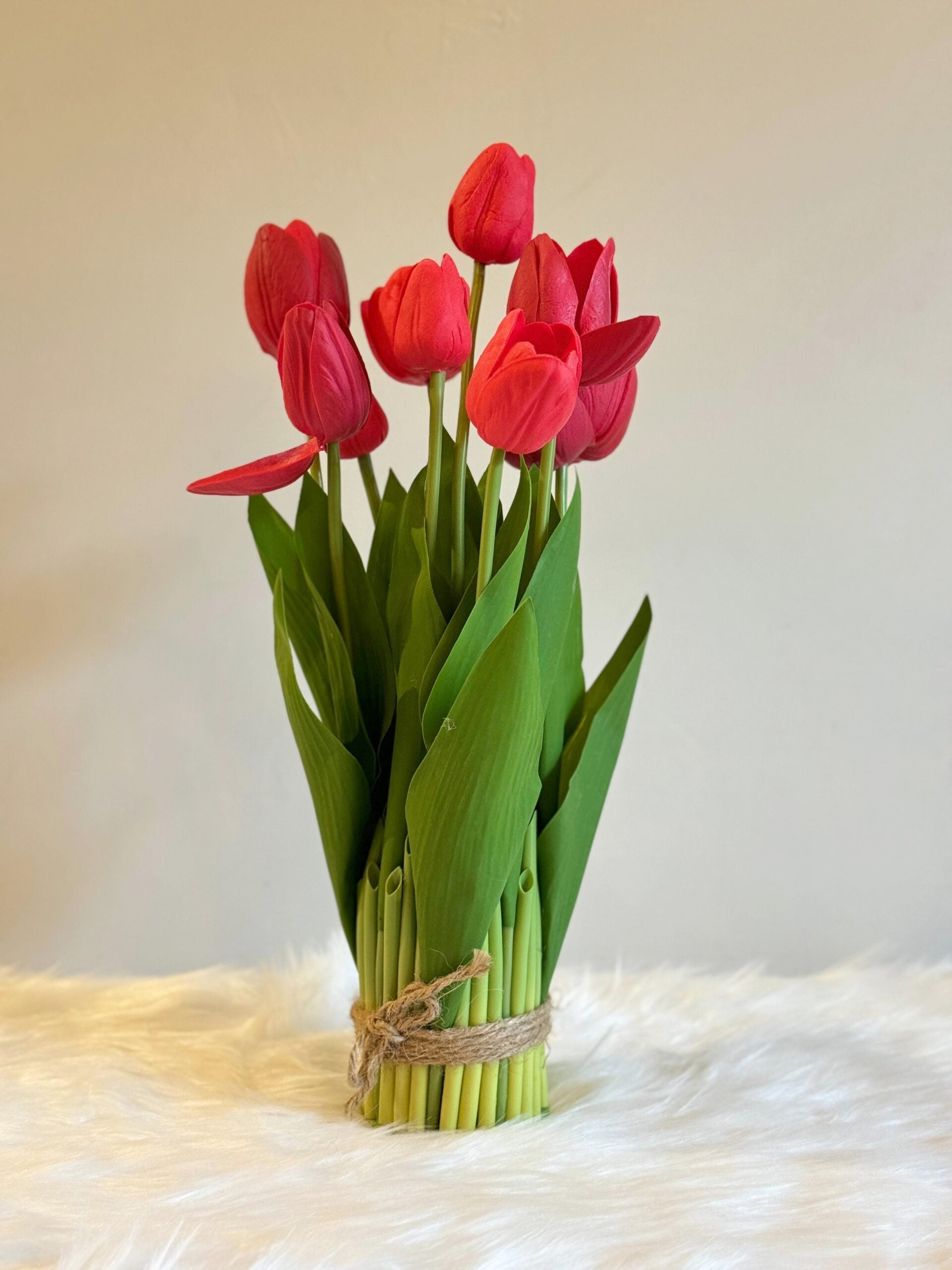 Tulip rot maroon blume samen for anpflanzung – fragrant spring blooms