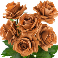Rose funique braun rose samen for anpflanzung – rare garten roseslower samen braun anpflanzung