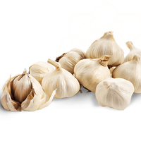 cultivate fresh produce with garlic vegetable samen für pflanzung white perfect für growing nutritious and flavorful vegetables Stück, 100 Stück