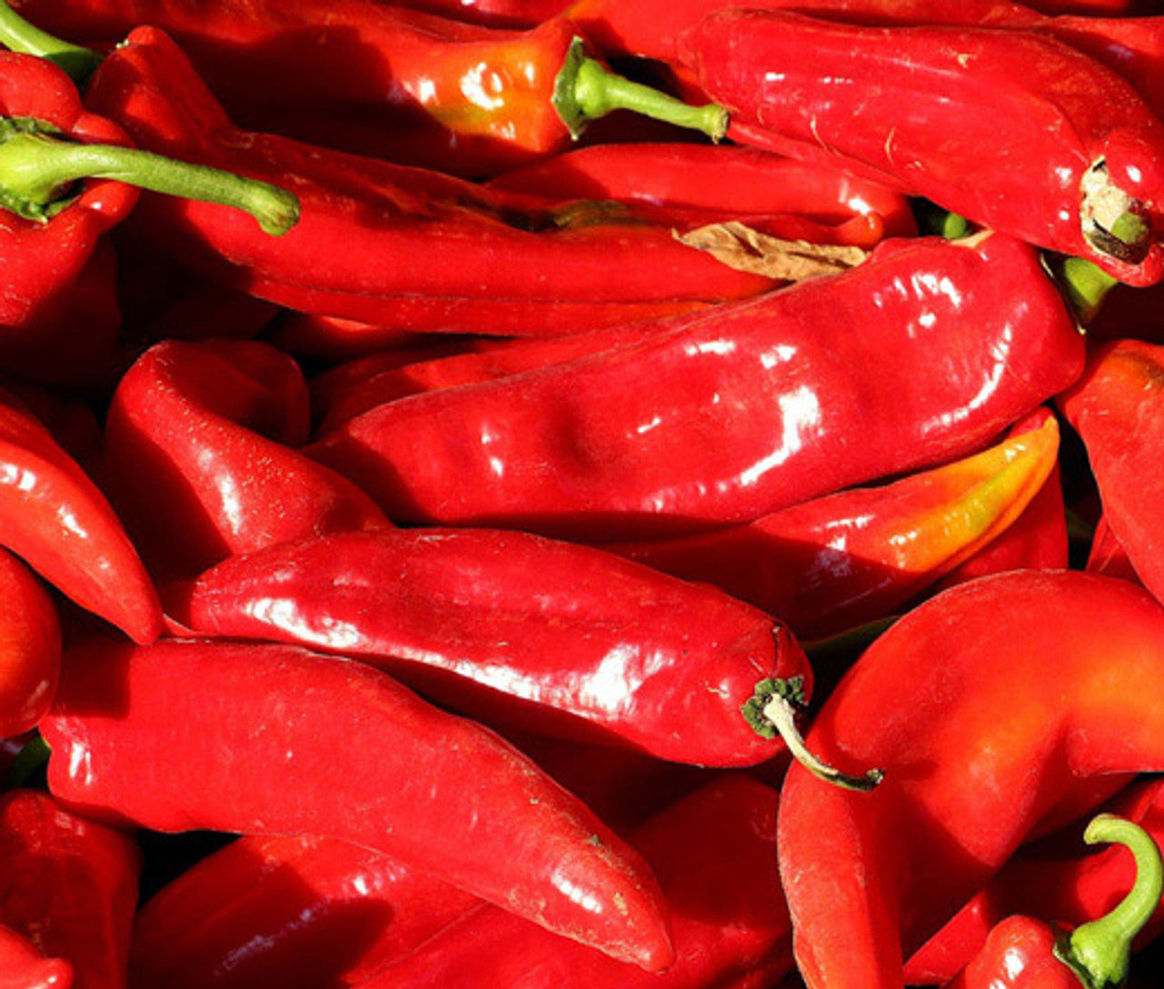 Süße marconi pepper samen für gemüse patch aussaat