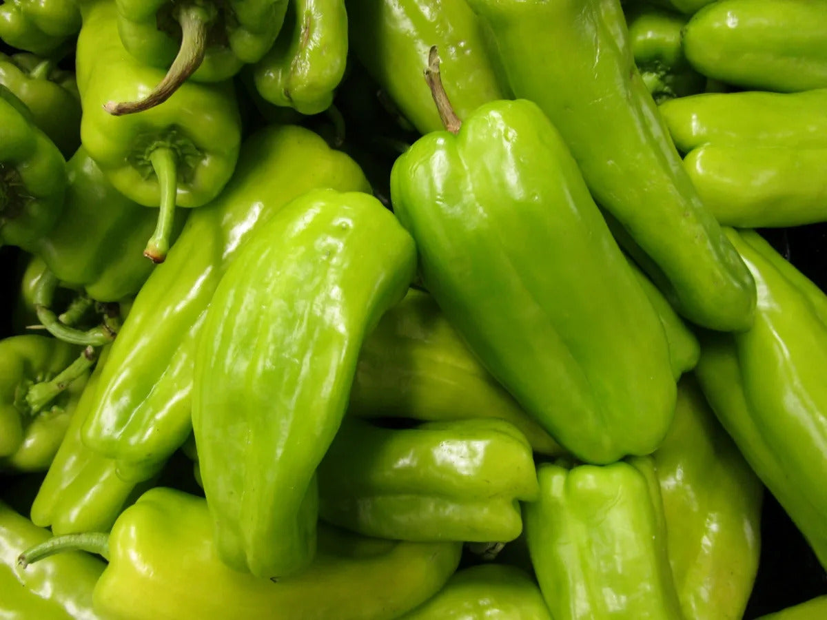 Pepperoncini samen für gemüse patch aussaat