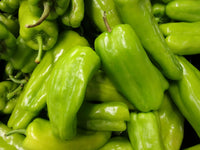 Pepperoncini samen für gemüse patch aussaat