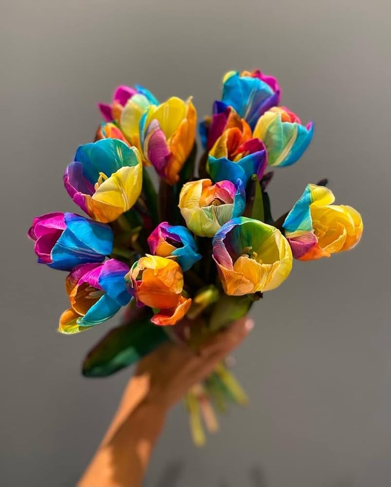 Vibrant rainbow tulips blooming in spring garten