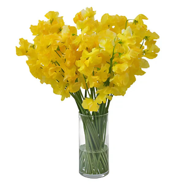Vibrant sweet pea gelb pflanzen in full bloom