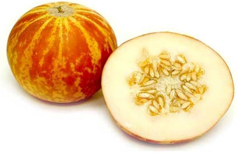 Vietnam milk melon samen für aussaat non-gmo