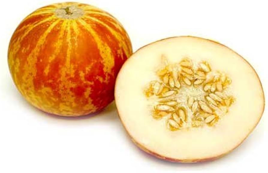 Vietnam milk melon samen für aussaat non-gmo