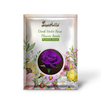Violet rose samen for gardening and home anpflanzung