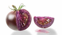 Aussaat guide für violette tomato samen