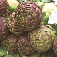 Lila Artichoke Gemüse Samen zum Pflanzen
