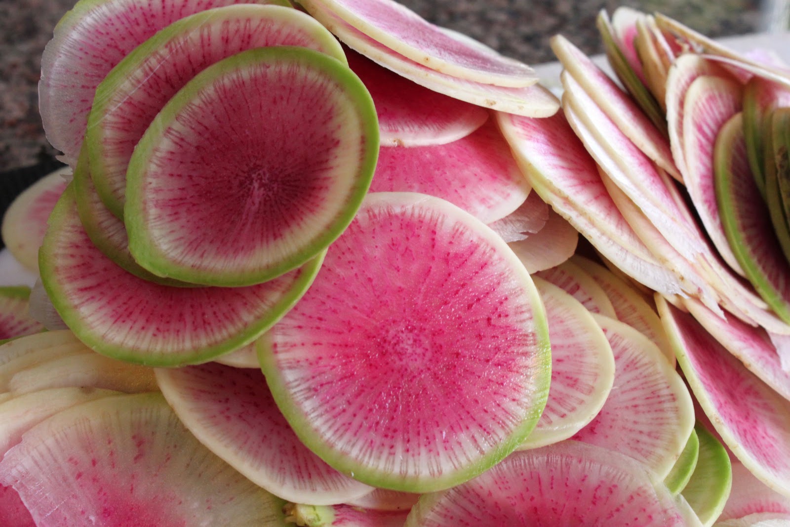 Healthy watermelon radish pflanzen wachsend in cool-season garten