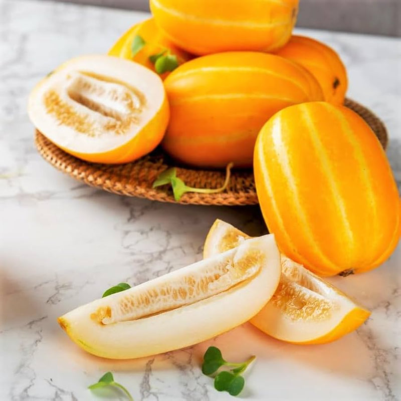 White-fleshed Korean melon cut open für display