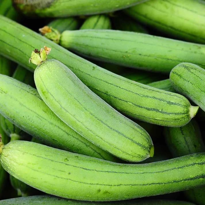 Weiße grüne luffa samen für aussaat in home gardens