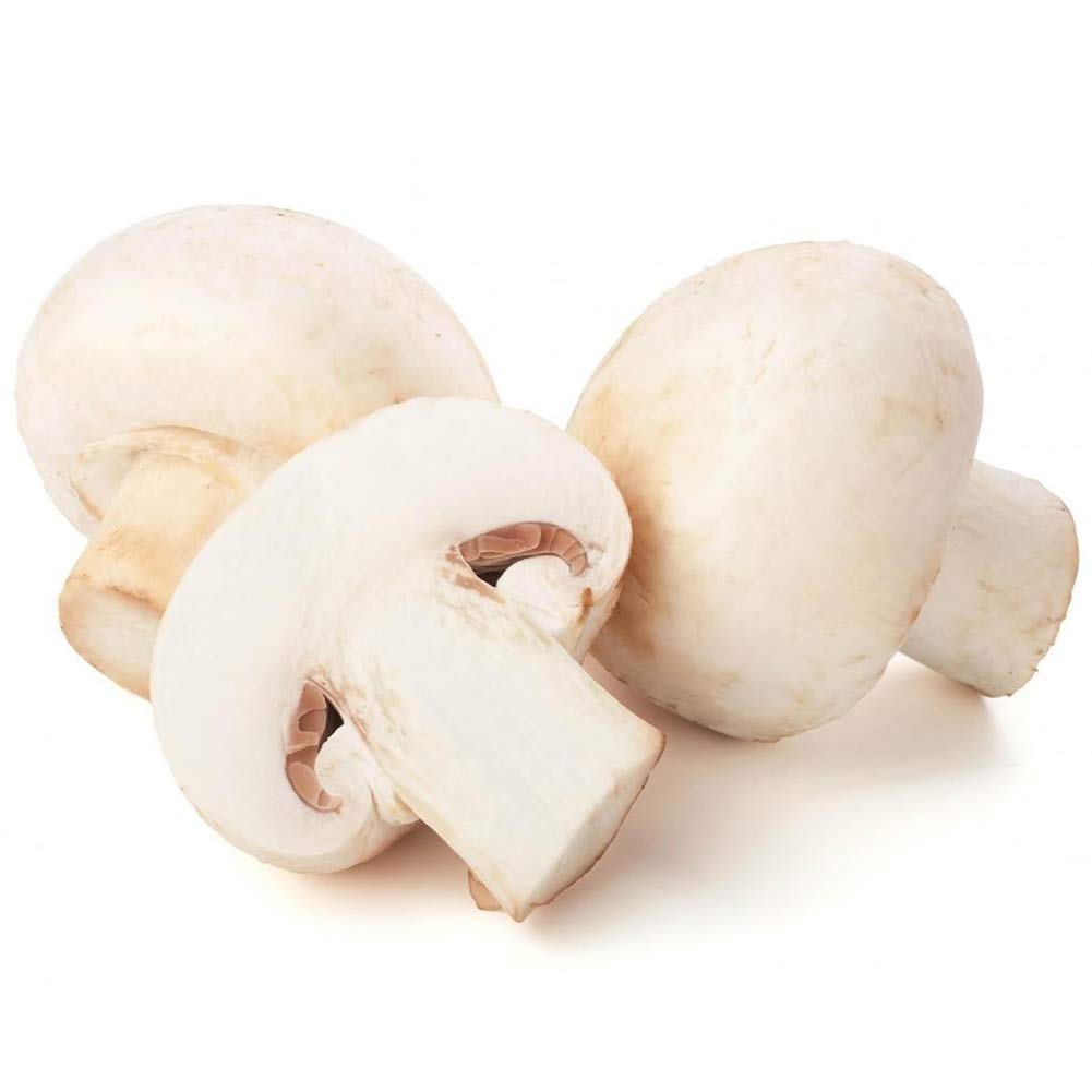 Weiße pilz samen für aussaat