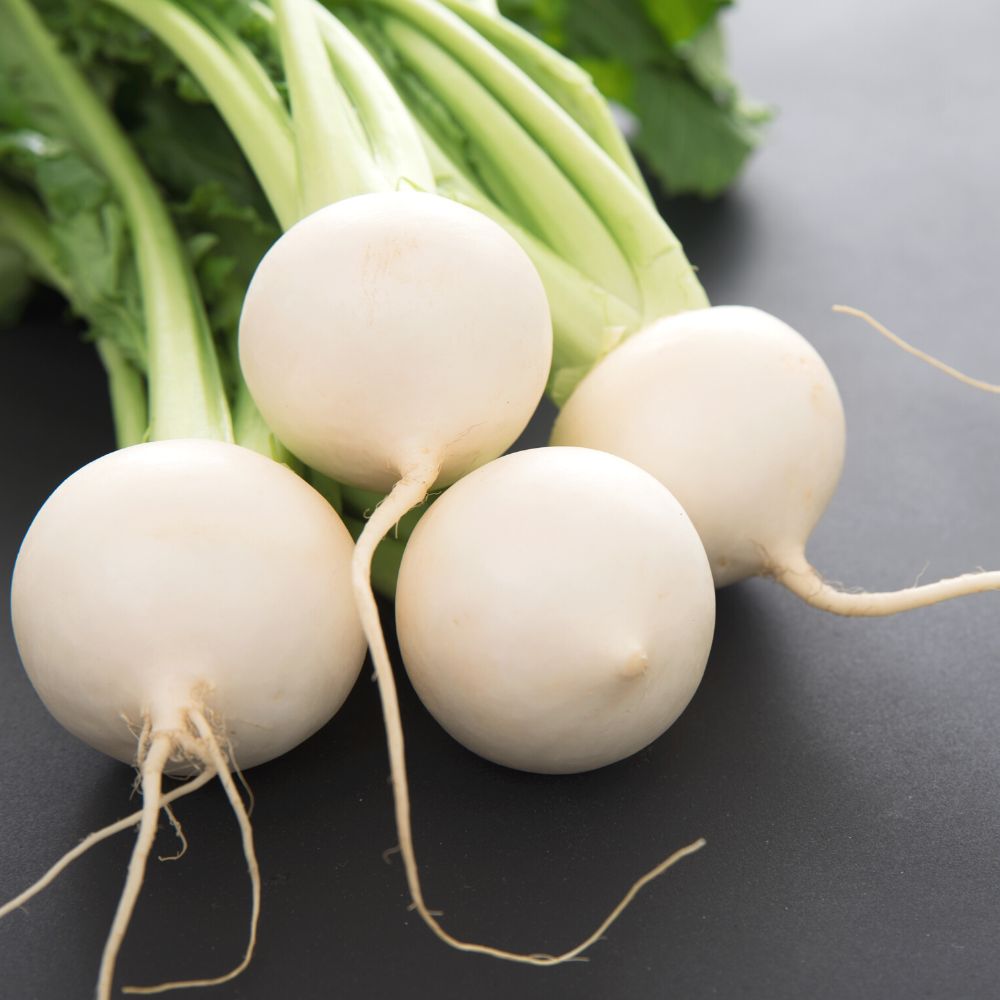 Close-up of a weiße turnip root