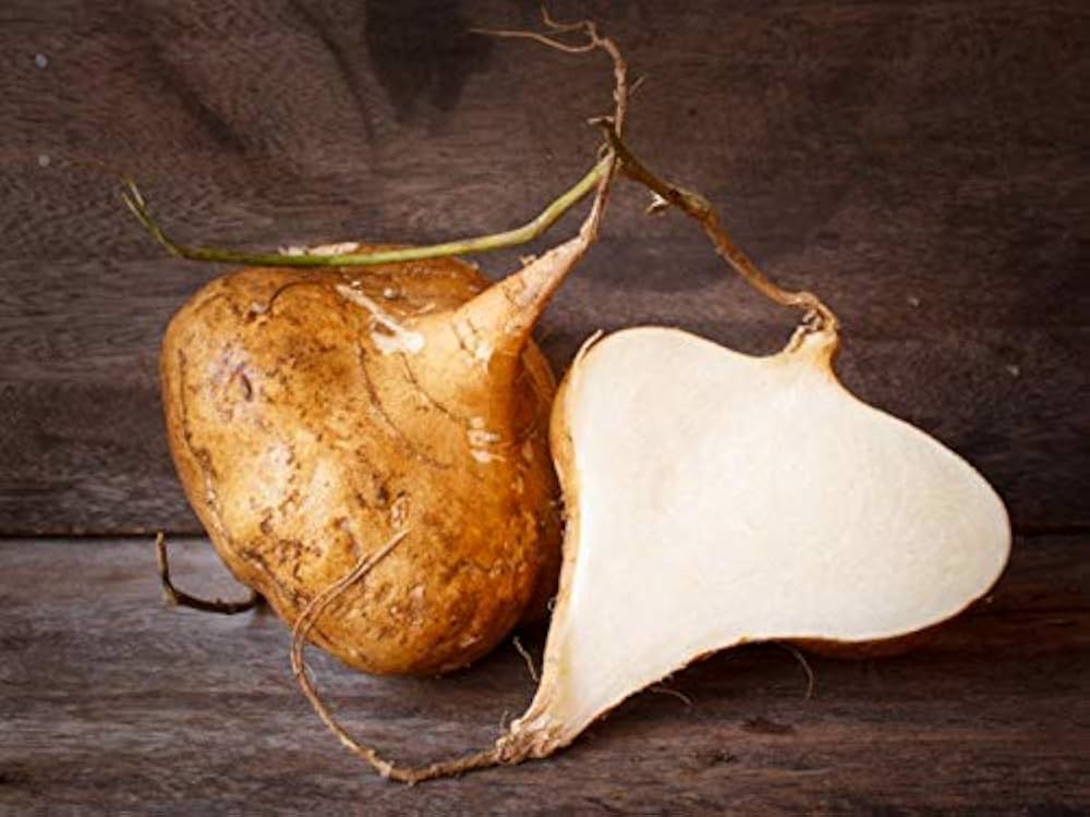 Pachyrhizus erosus yam bean samen für aussaat in gemüse patch and urban garten
