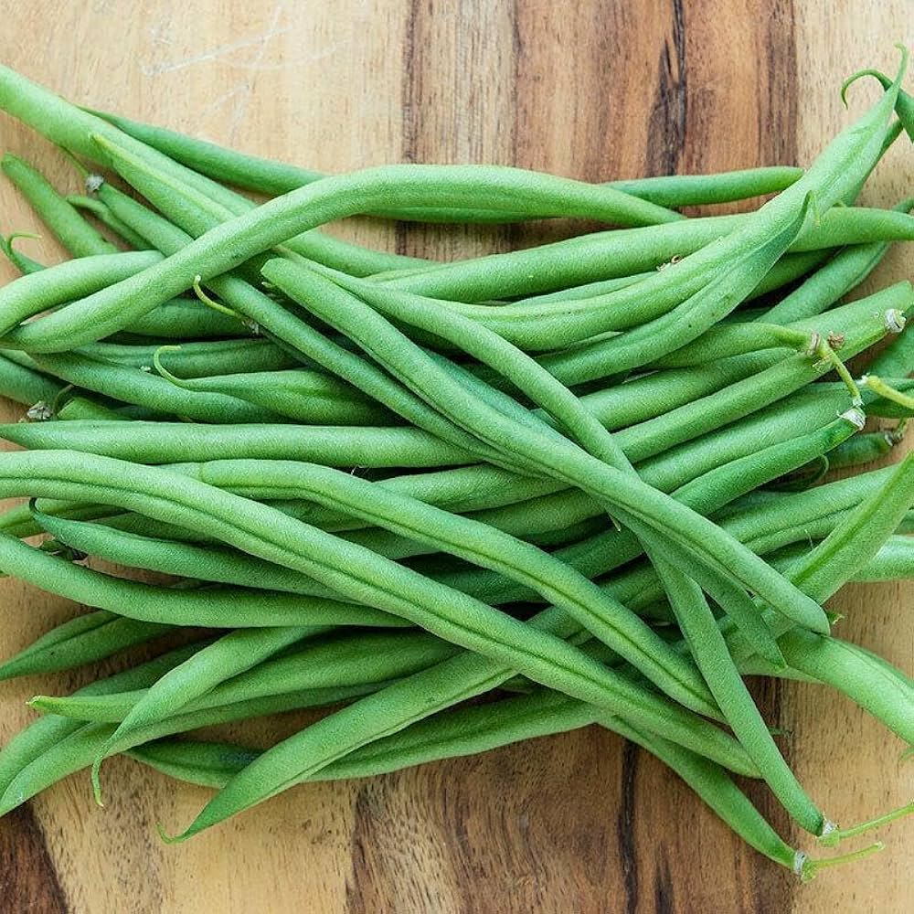 Yardlong bean vigna unguiculata samen für aussaat