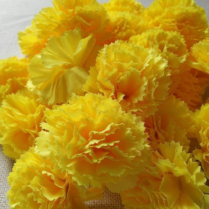 Gelb carnation blume samen for anpflanzung