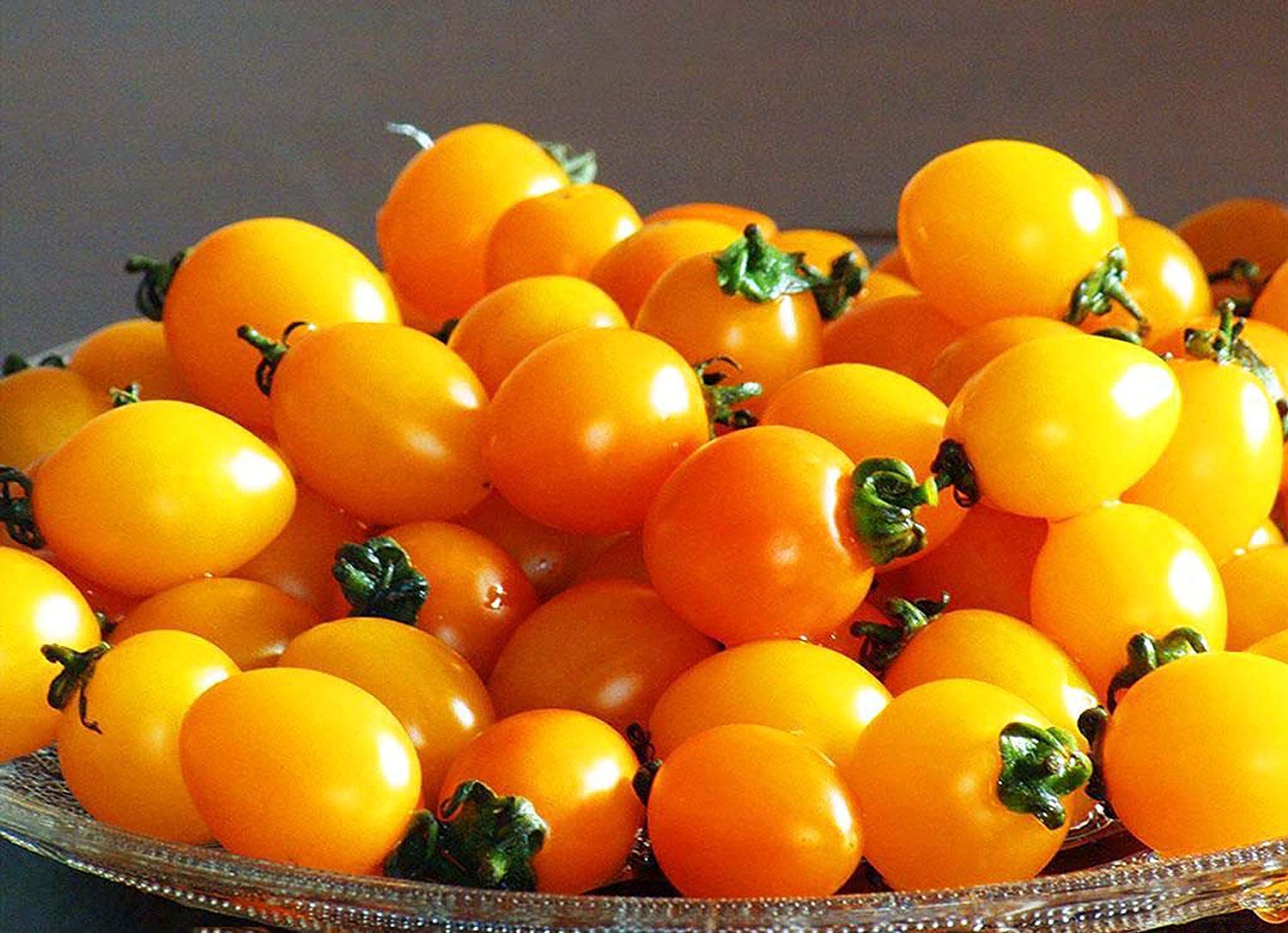 Aunt ruby's gelbe cherry tomatoes wachsend on pflanze
