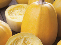 Gelbe spaghetti squash samen für productive home gardens