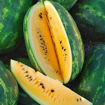 Organic gelbe watermelon samen non-gmo für aussaat
