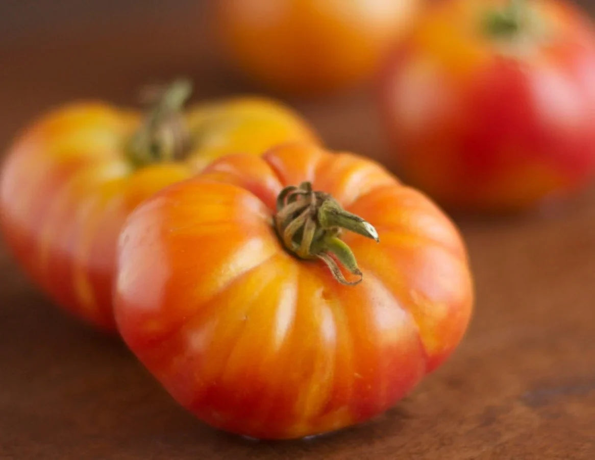 Seedlings of big huge orange tomato wachsend healthy and strong