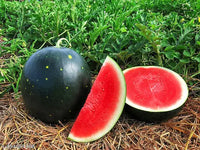 Wassermelone Samen für einfaches Anpflanzen