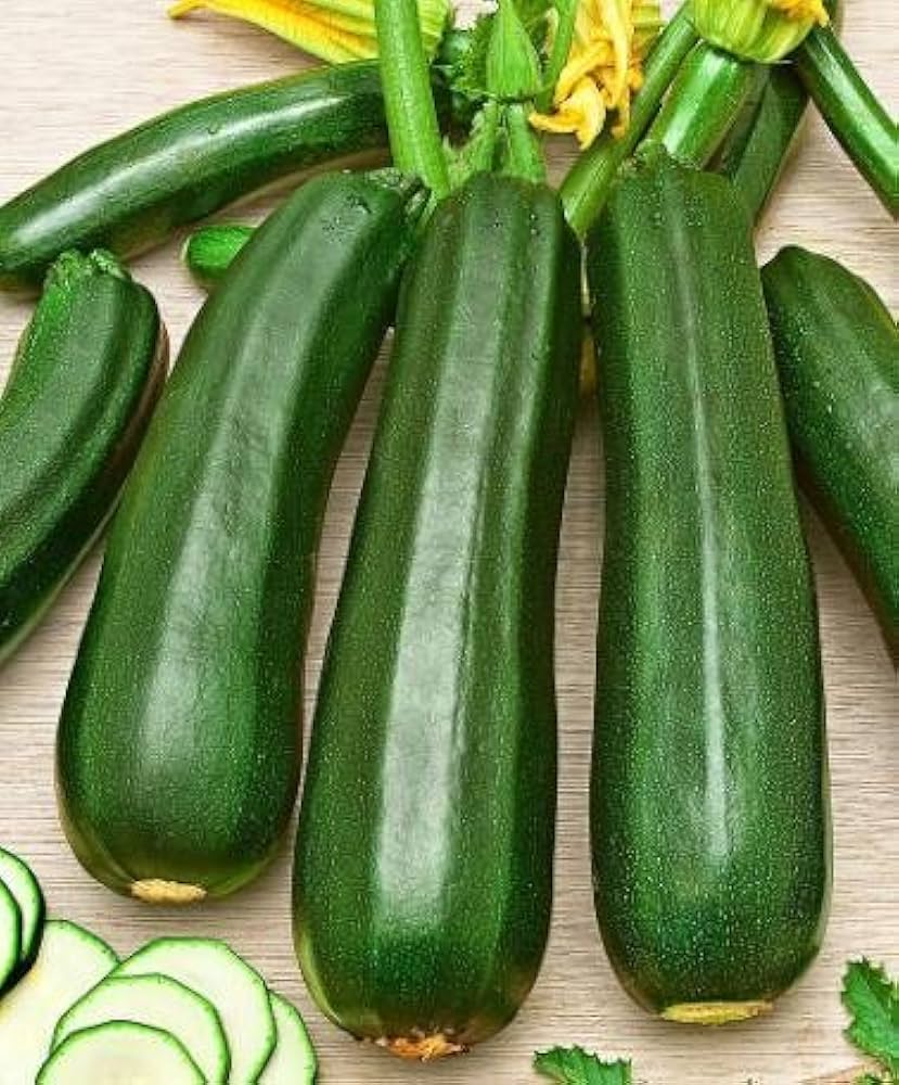 Zucchini summer squash samen für home gardens